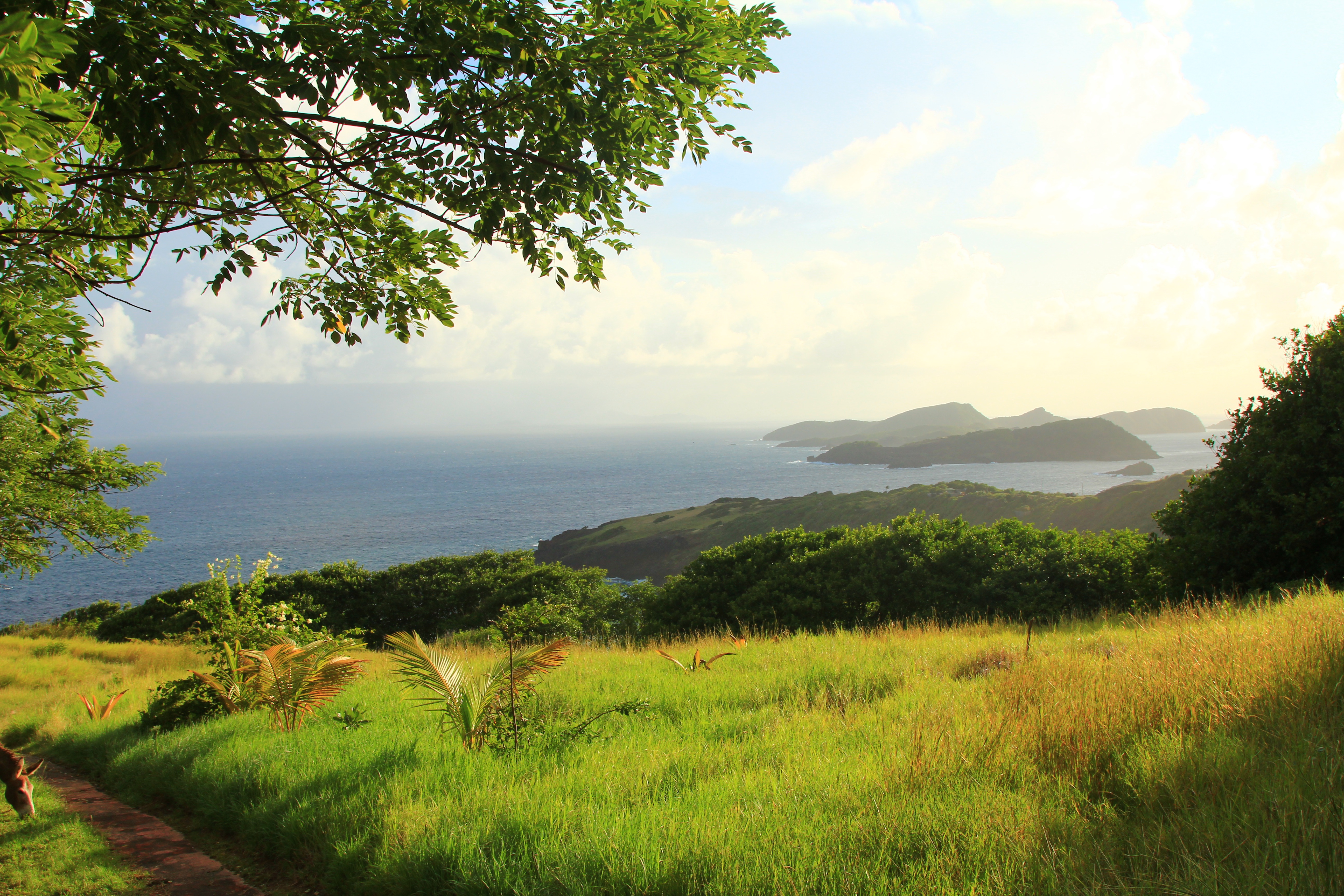 Hilltop life at The Old Fort Estate
