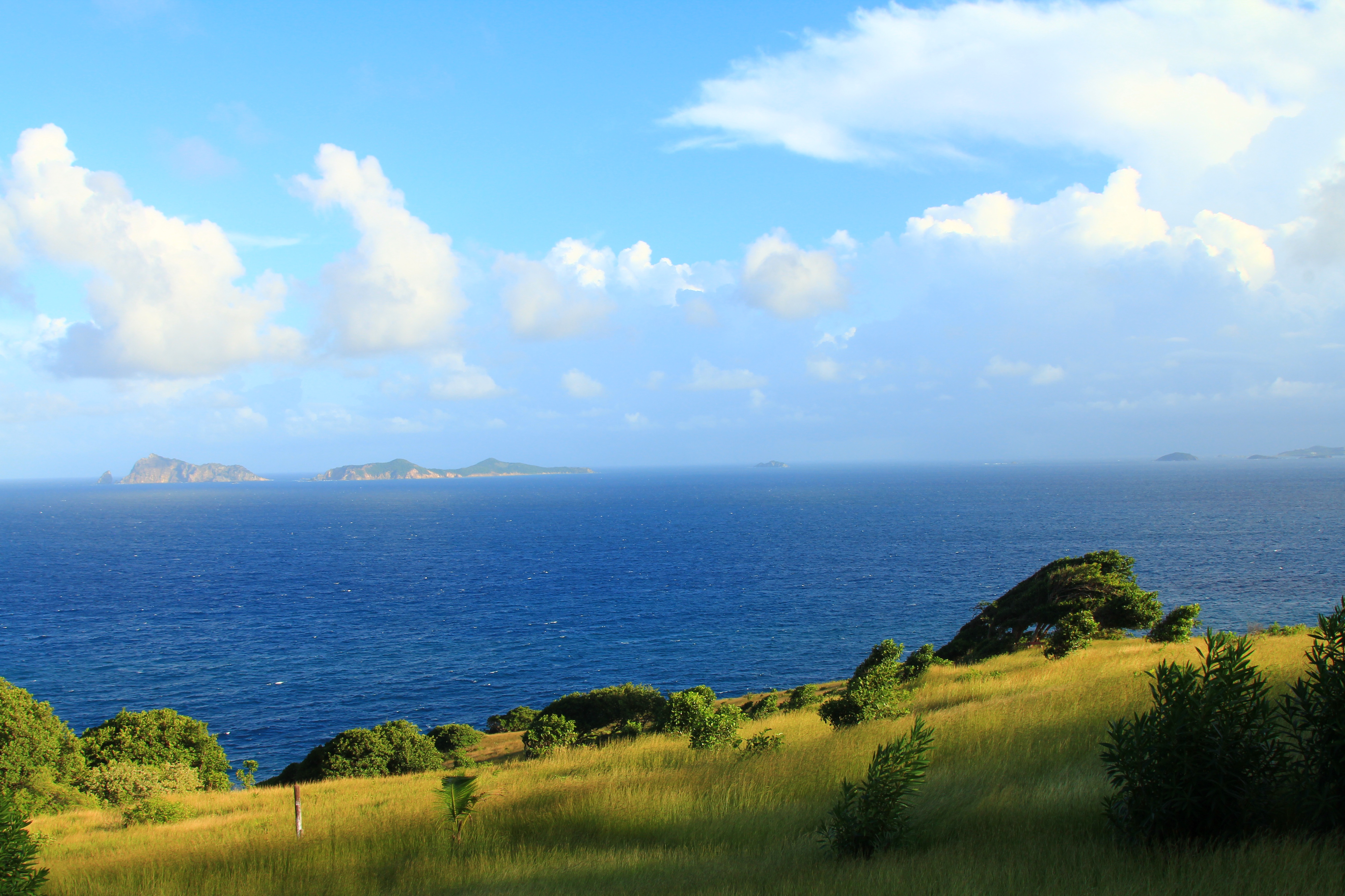 Hilltop life at The Old Fort Estate